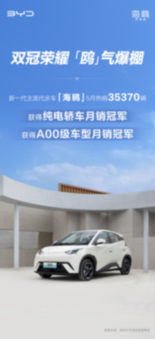 5月销量排名出炉 海鸥热销35370辆 获纯电轿车 a00级车型月销双冠